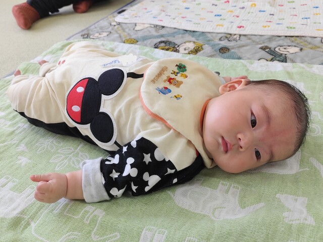 参加した赤ちゃんの様子