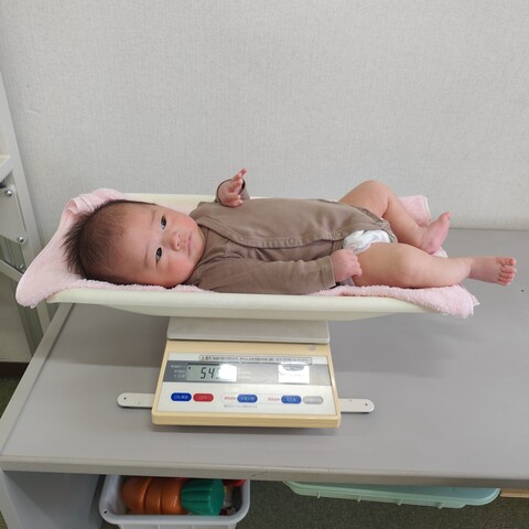 スケールにのる赤ちゃん