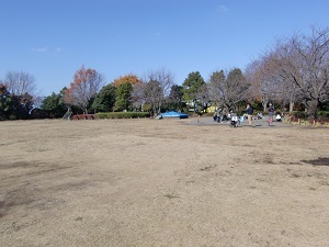 広々とした芝生の広場の写真