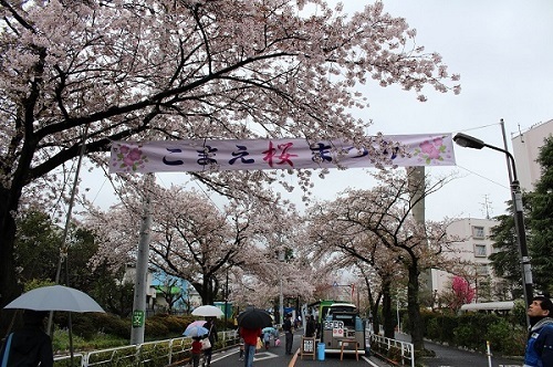 こまえ桜まつり写真