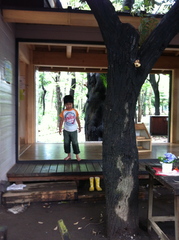 羽根木プレーパーク小屋の室内写真