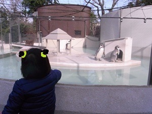 ペンギンの飼育舎の様子