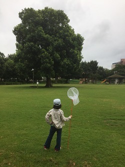 網を手に持った子供の後ろ姿の写真