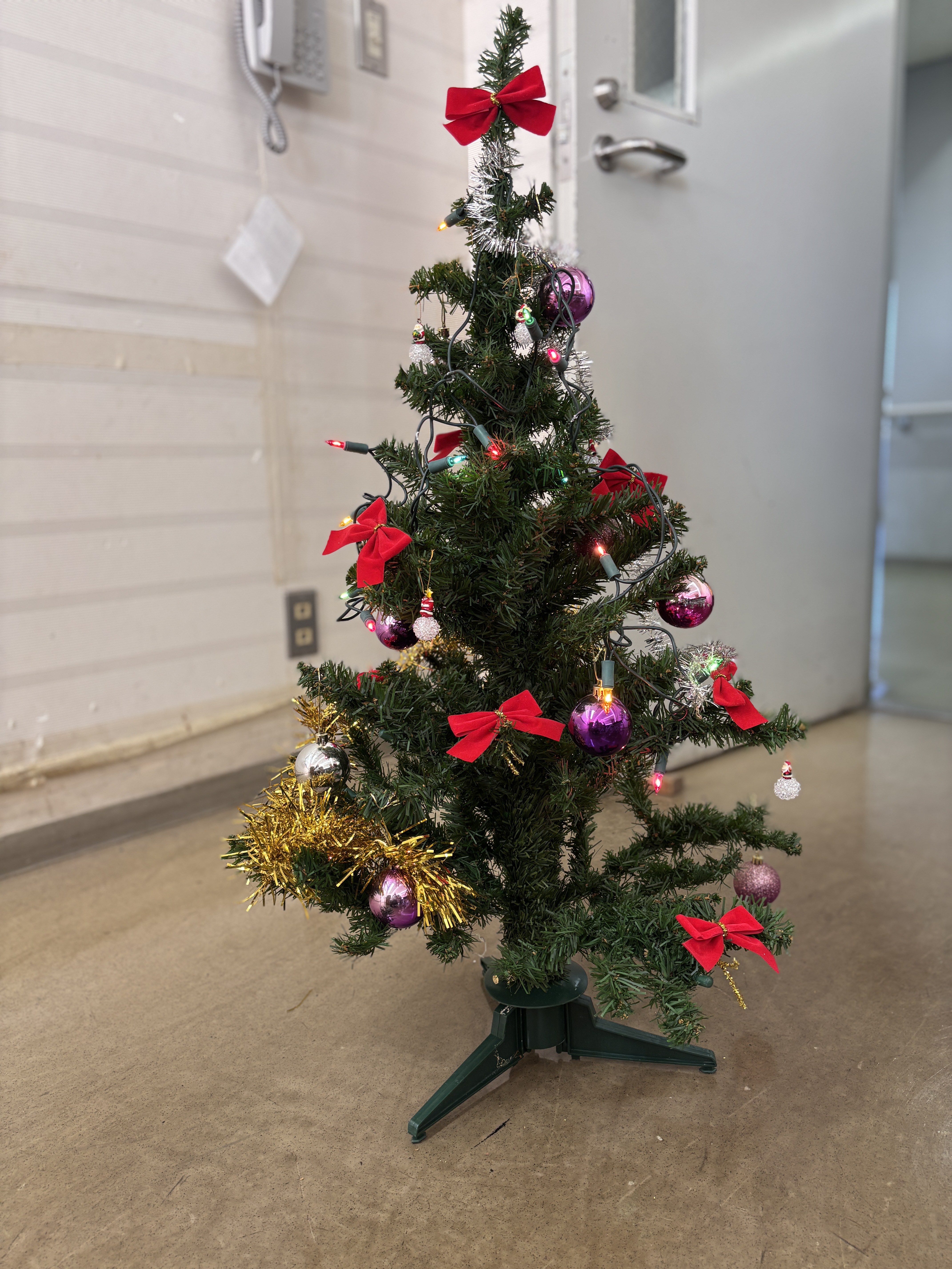 入り口に飾られたクリスマスツリー