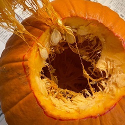 中が広い空洞になっているかぼちゃの写真