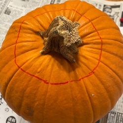 カットするラインにペンで印をつけたかぼちゃの写真